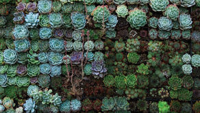 Building Resilient and Sustainable Supply Chains in a New Macroeconomic Context